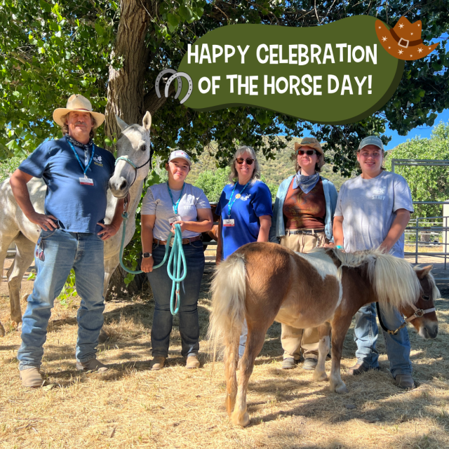 Five of The Painted Turtle's Equestrian Team members with a miniature pony.