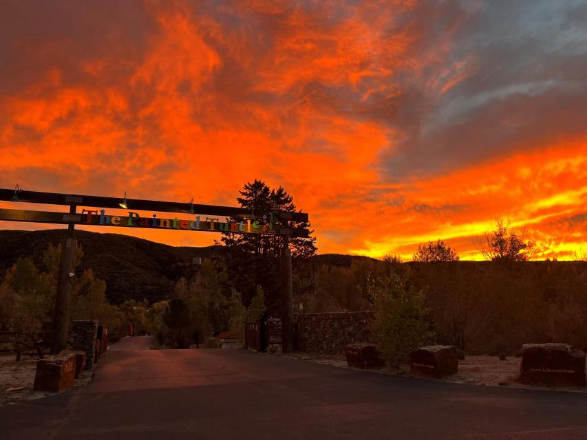 A beautiful orange and yellow sunset behind The Painted Turtle front gate.