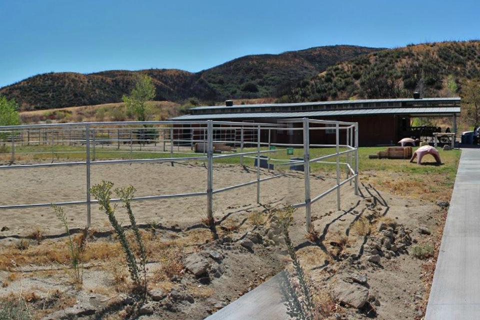 Equestrian Paddock