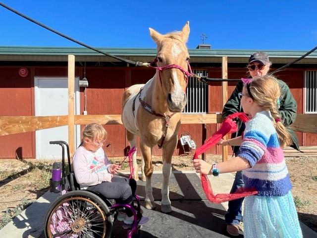 Two campers give a horse a makeover