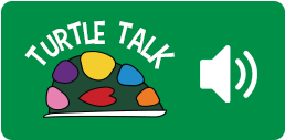 Turtle Talk, play interview