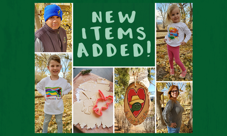 The Painted Turtle A SeriousFun Camp, Founded by Paul Newman