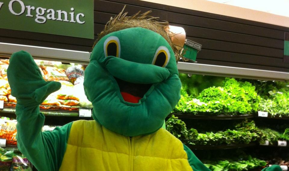 Support Us The Painted Turtle